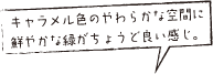 キャメル色のやわらかな空間に鮮やかな緑がちょうど良い感じ。