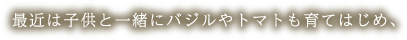 最近は子供と一緒にバジルやトマトも育てはじめ、