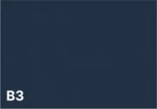 B3