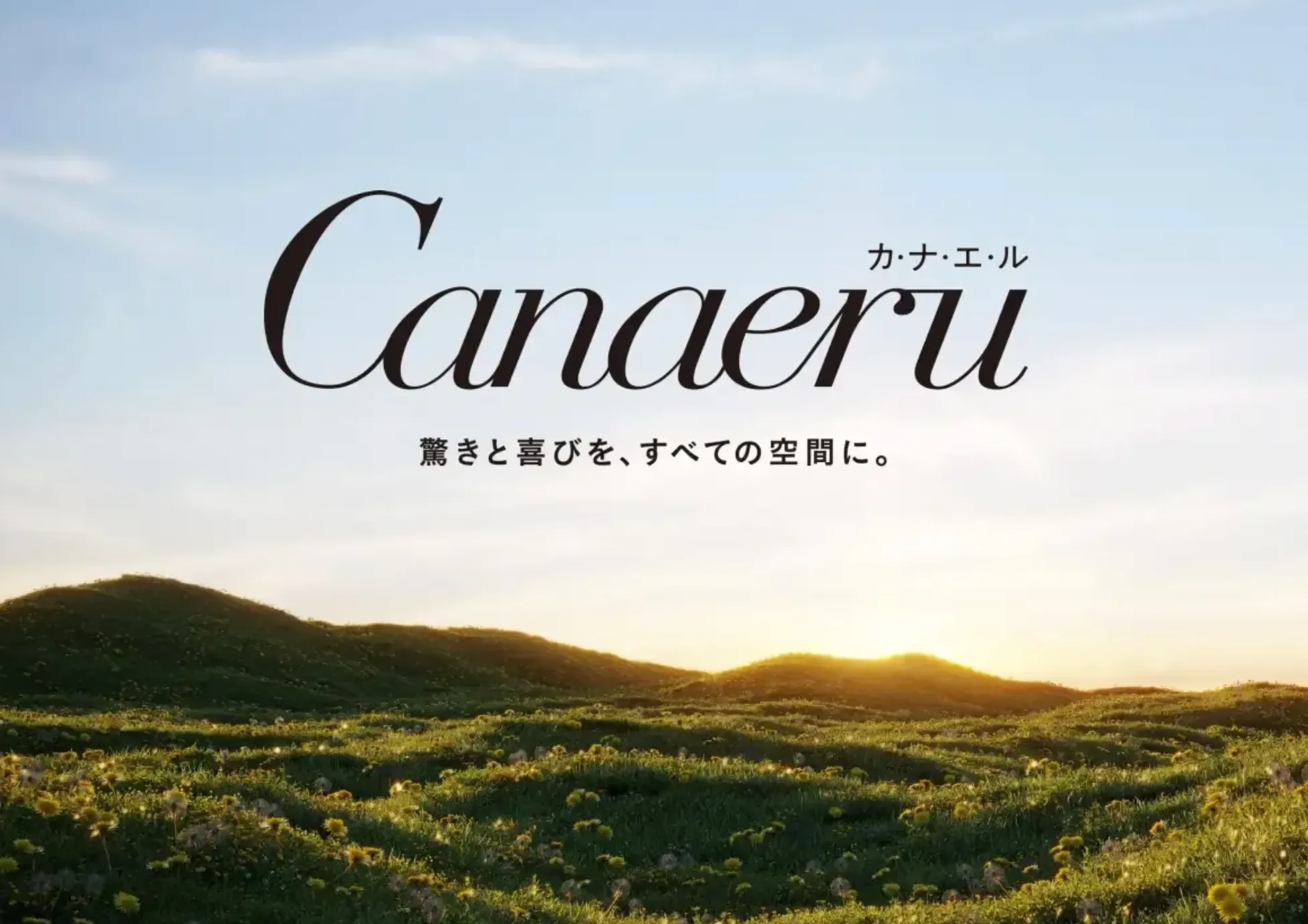 カナエル　youtube　動画　公式